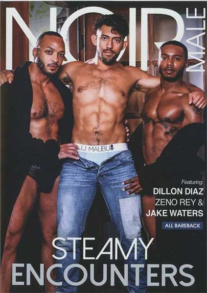 Noir Male celebrates the beauty and sensuality of Black men in Steamy Encounters, featuring four hot new scenes. Dillon Diaz, Zeno Ray, and Jake Waters star in.